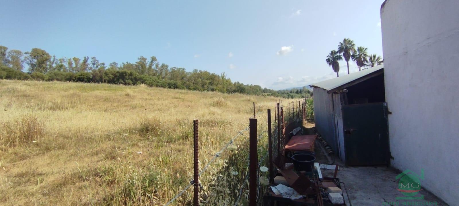 For sale of rural property in Jimena de la Frontera