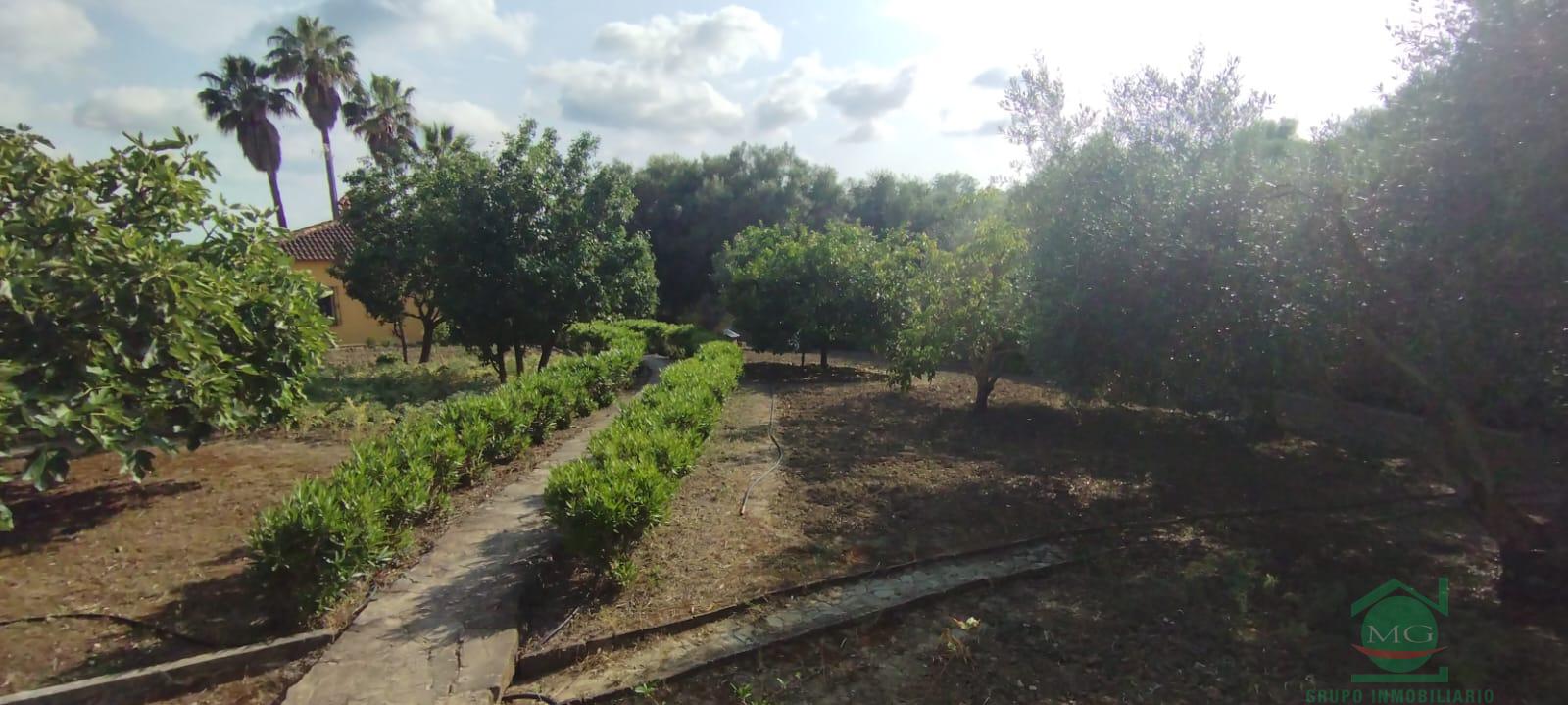 Venta de finca rústica en Jimena de la Frontera