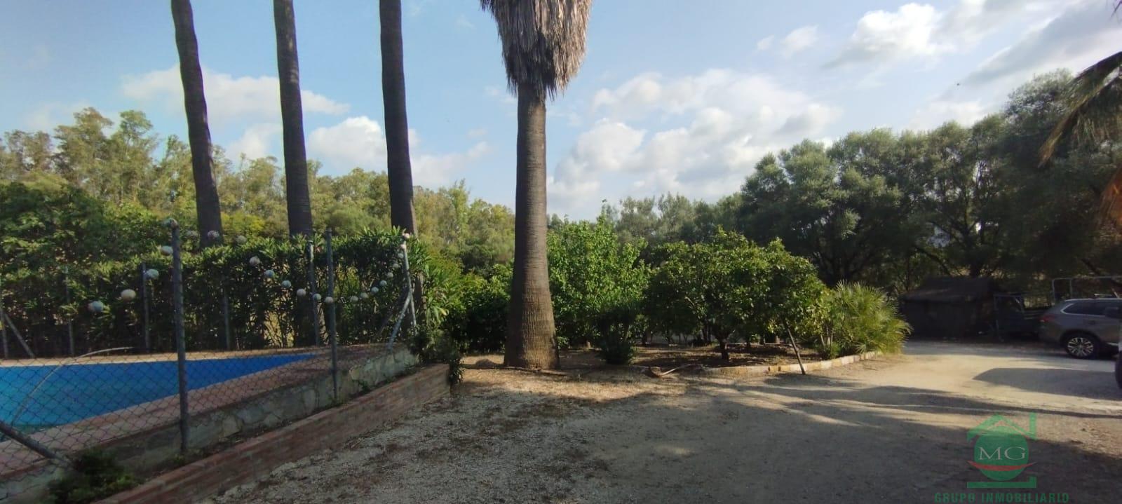 Venta de finca rústica en Jimena de la Frontera