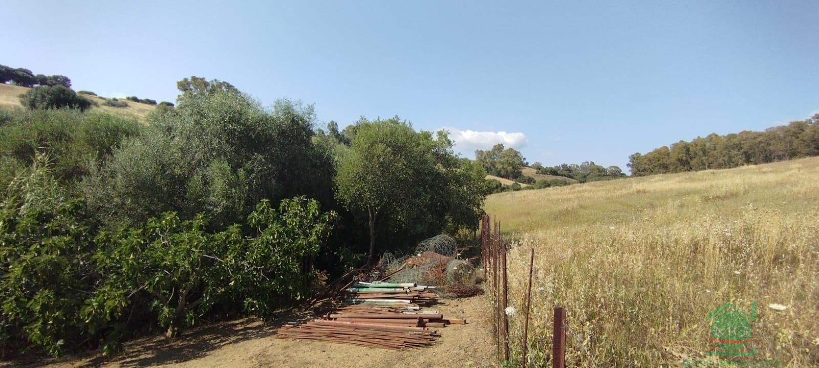 Venta de finca rústica en Jimena de la Frontera