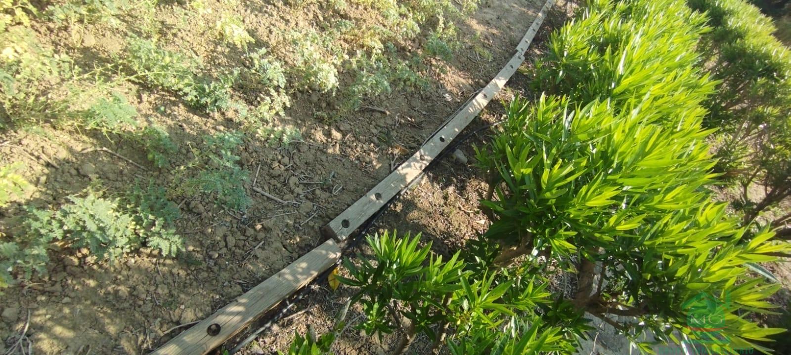 For sale of rural property in Jimena de la Frontera