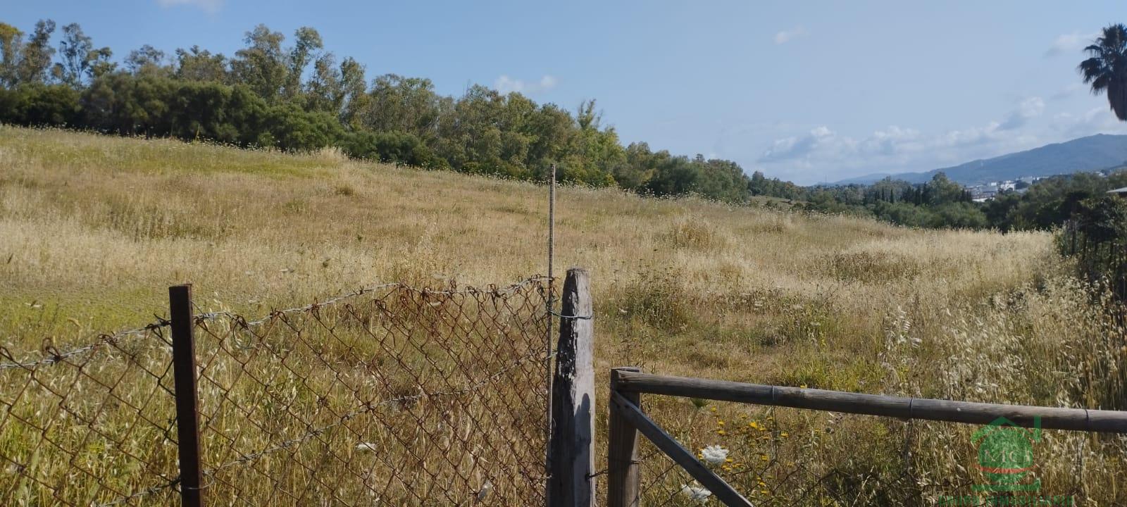 For sale of rural property in Jimena de la Frontera
