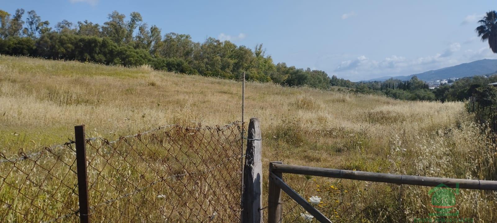 Venta de finca rústica en Jimena de la Frontera