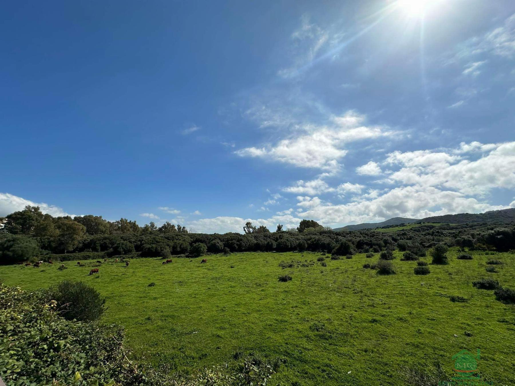 For sale of house in Algeciras