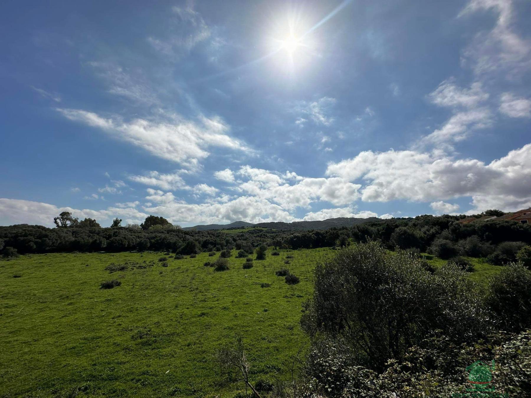 For sale of house in Algeciras