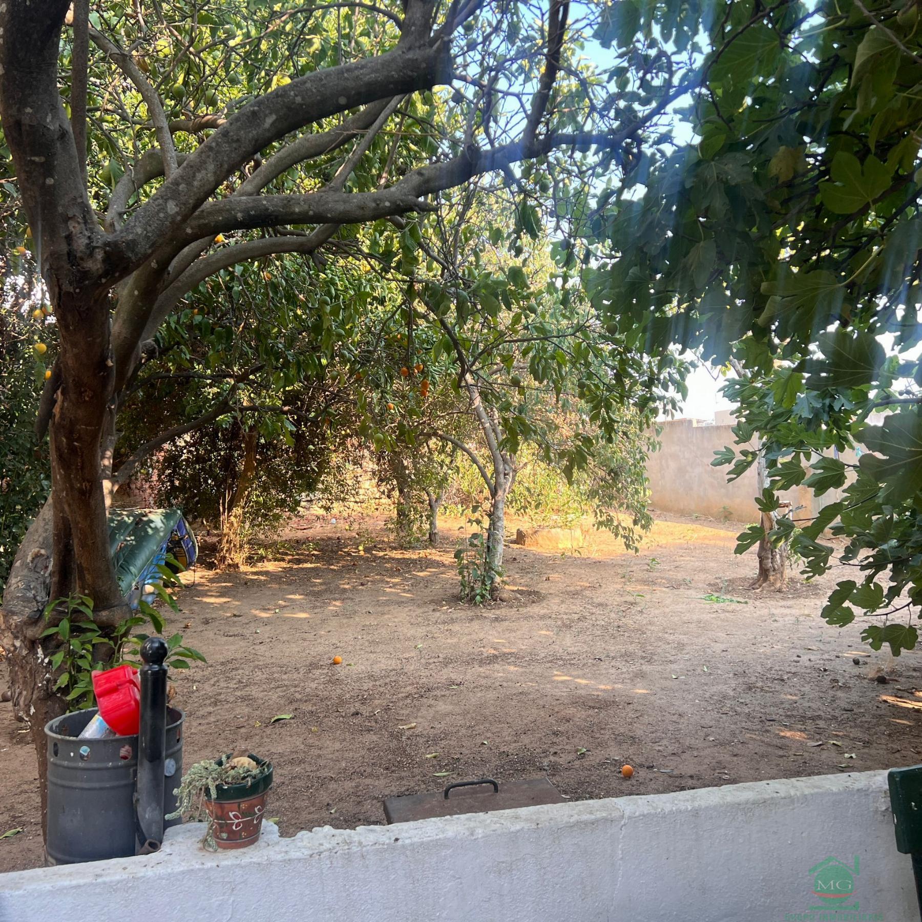 For sale of house in Taraguilla