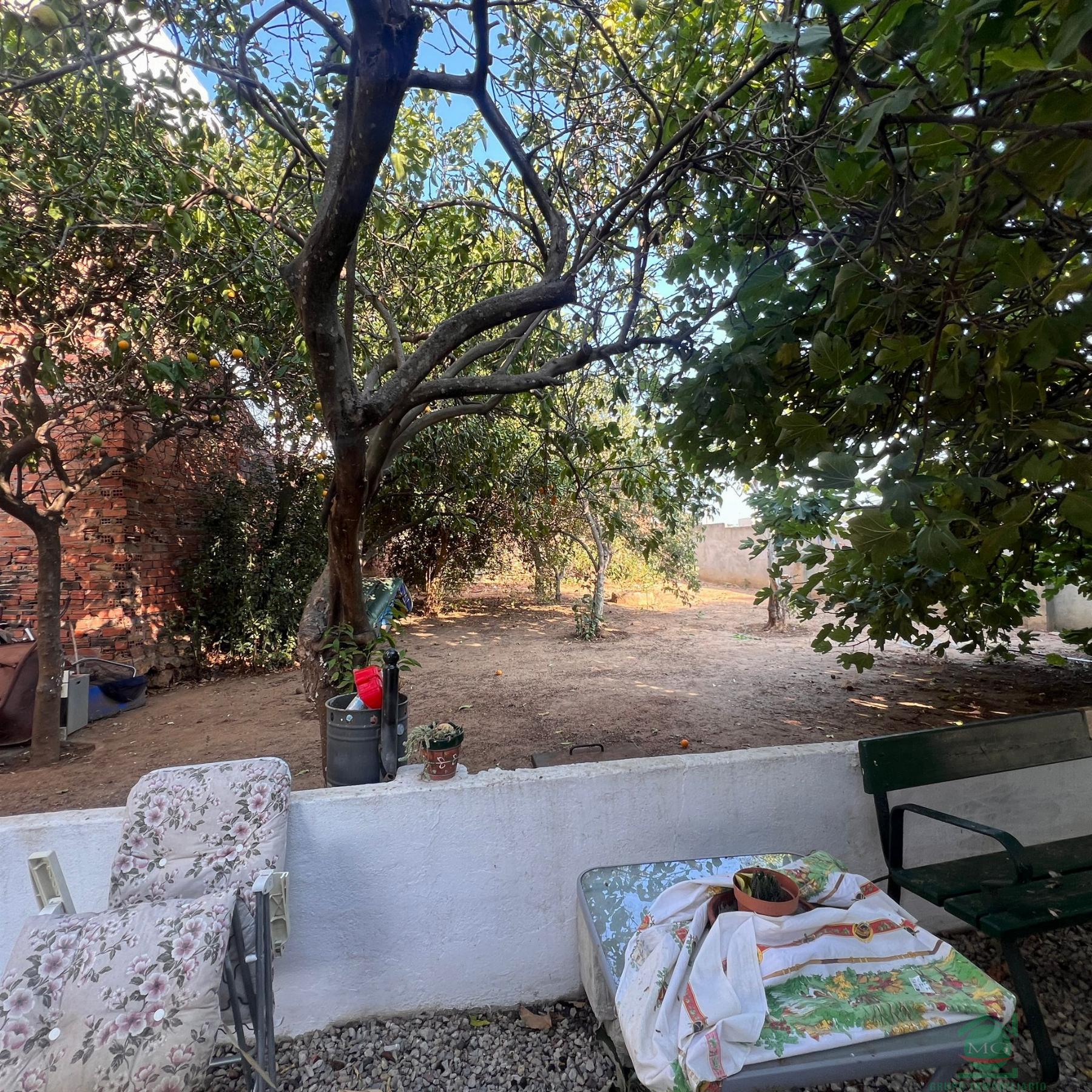 For sale of house in Taraguilla