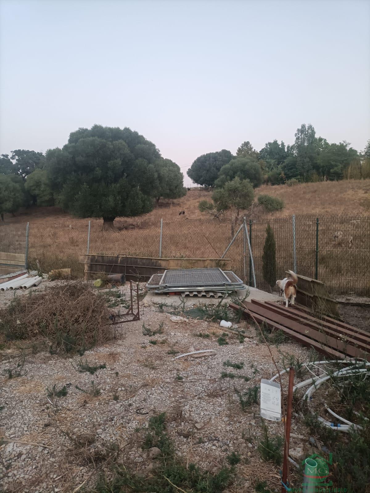 For sale of rural property in Los Barrios