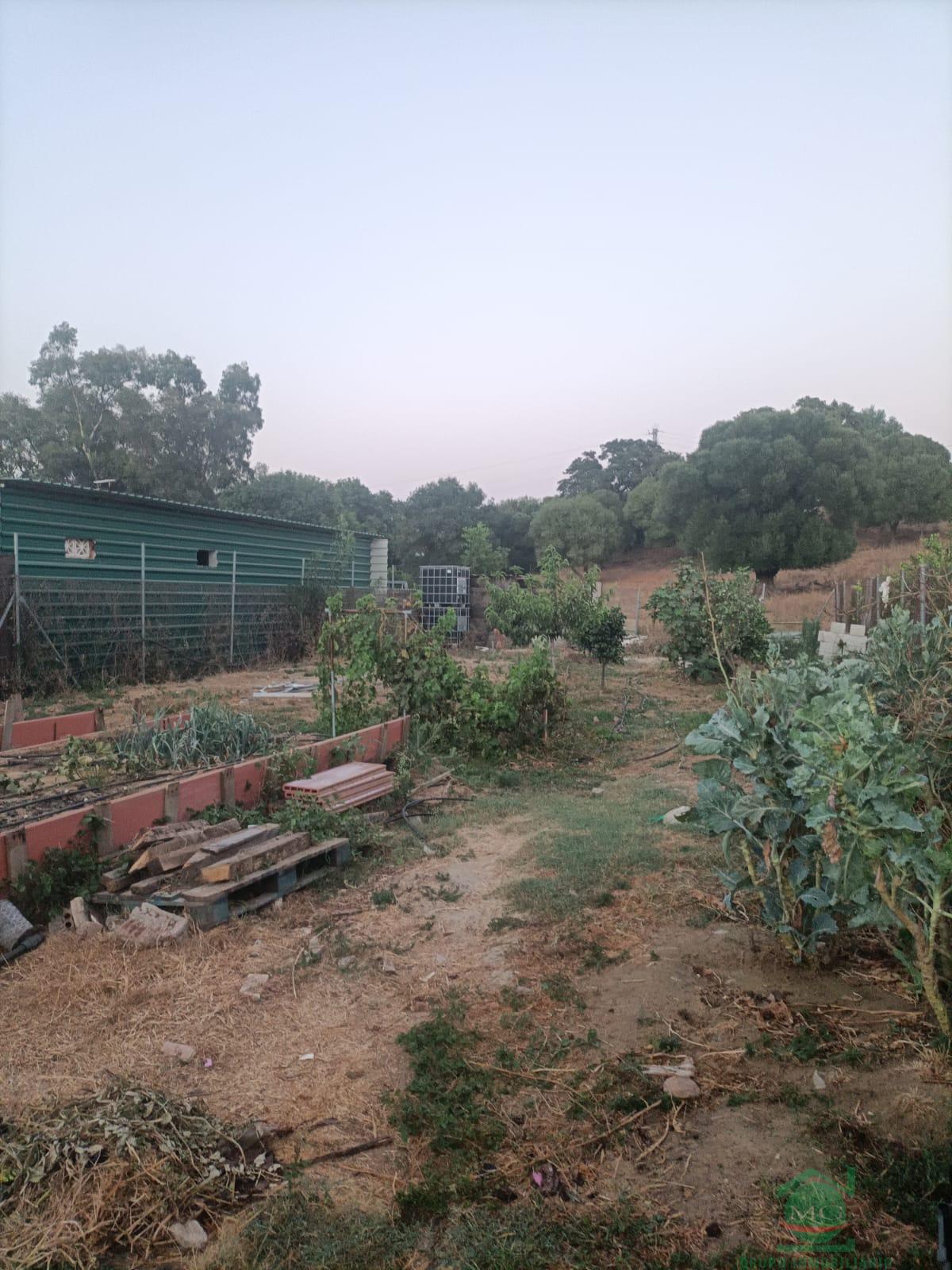 For sale of rural property in Los Barrios
