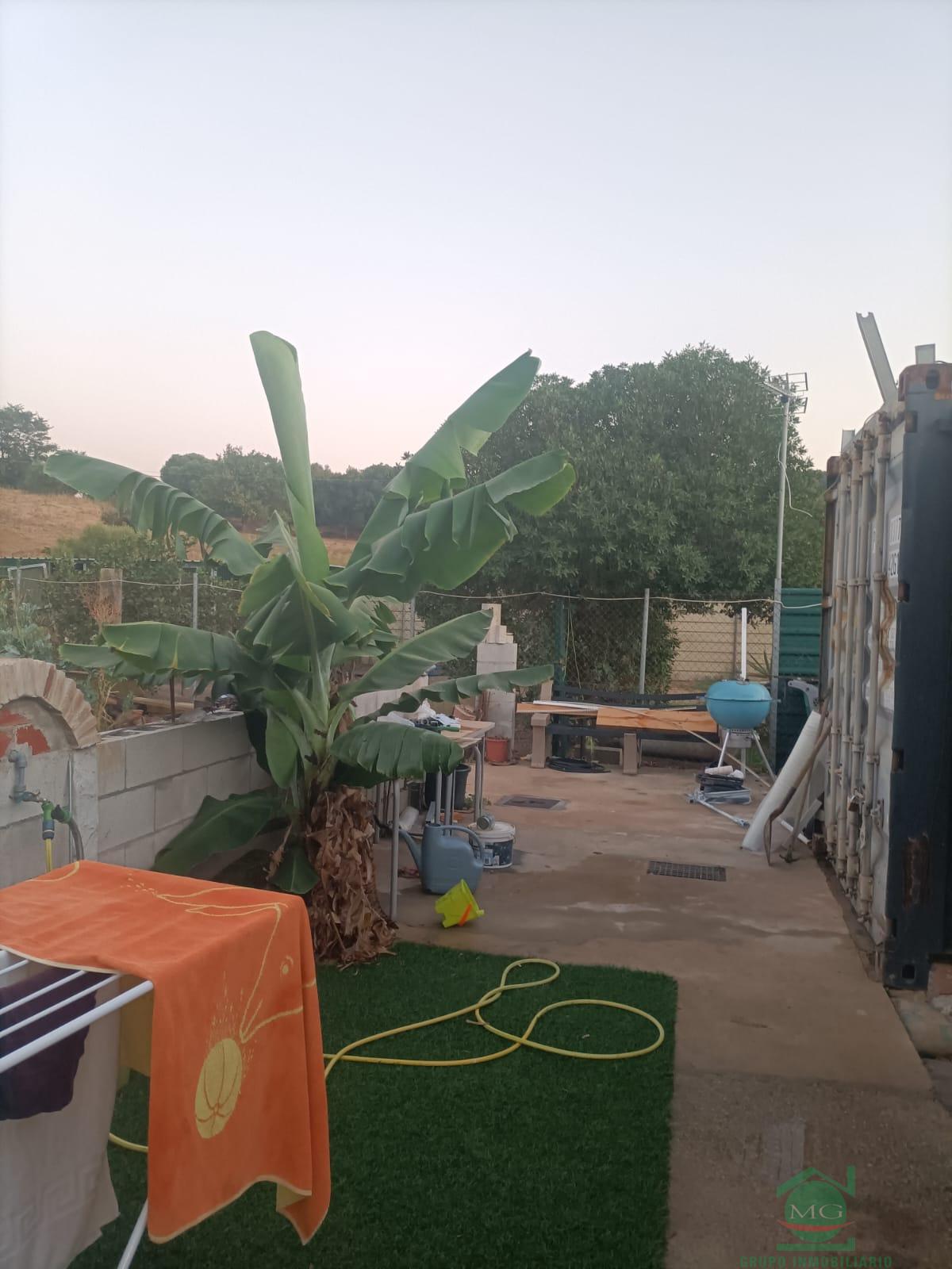 For sale of rural property in Los Barrios
