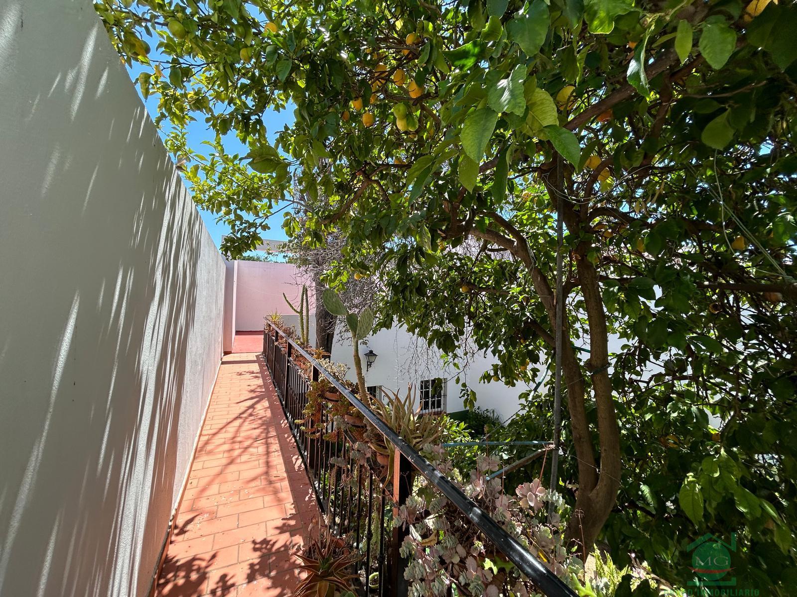 For sale of house in Jimena de la Frontera