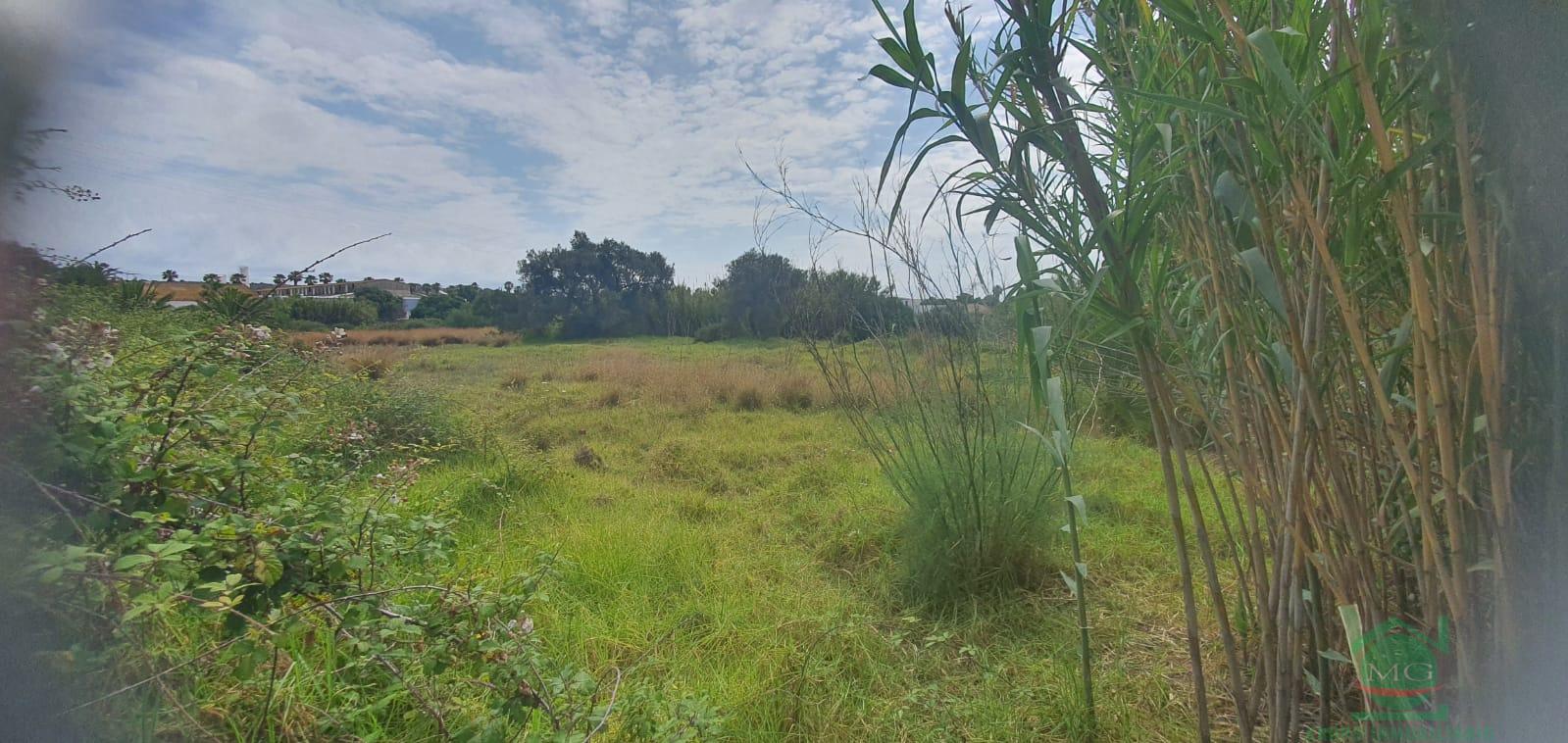 For sale of land in San Roque