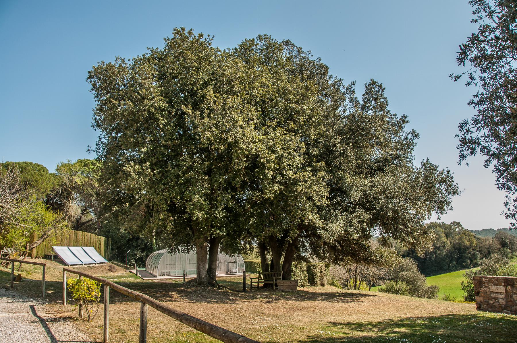 Venta de casa en Vilademuls