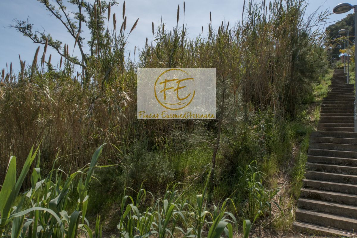 Vente de terrain dans Blanes