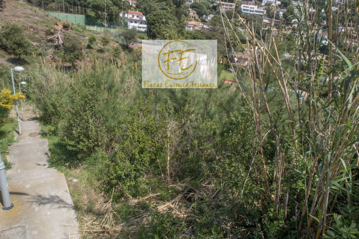 Köp av marken i Blanes