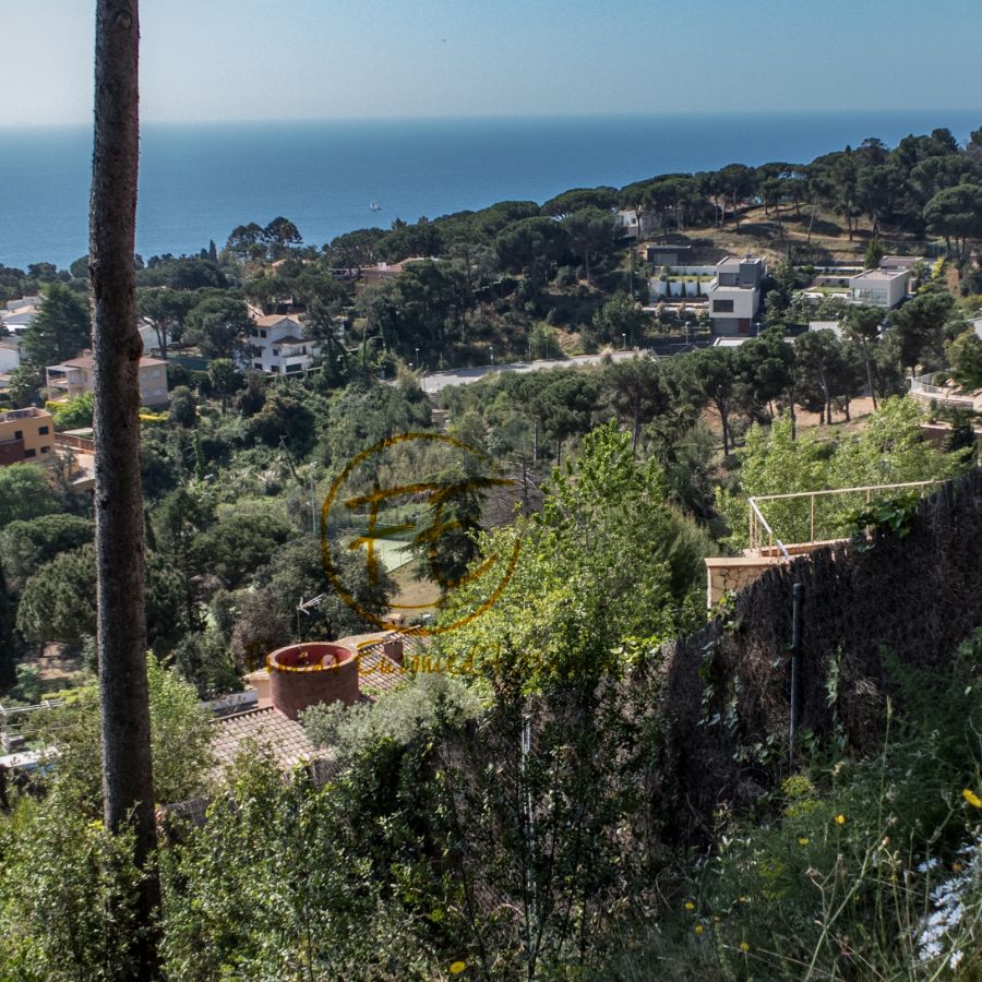 Köp av marken i Blanes