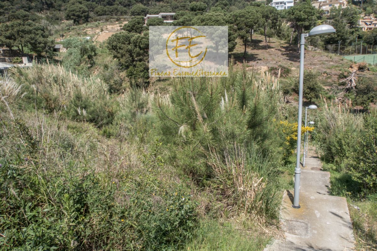 Köp av marken i Blanes