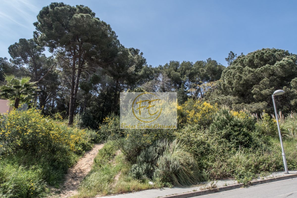 Köp av marken i Blanes