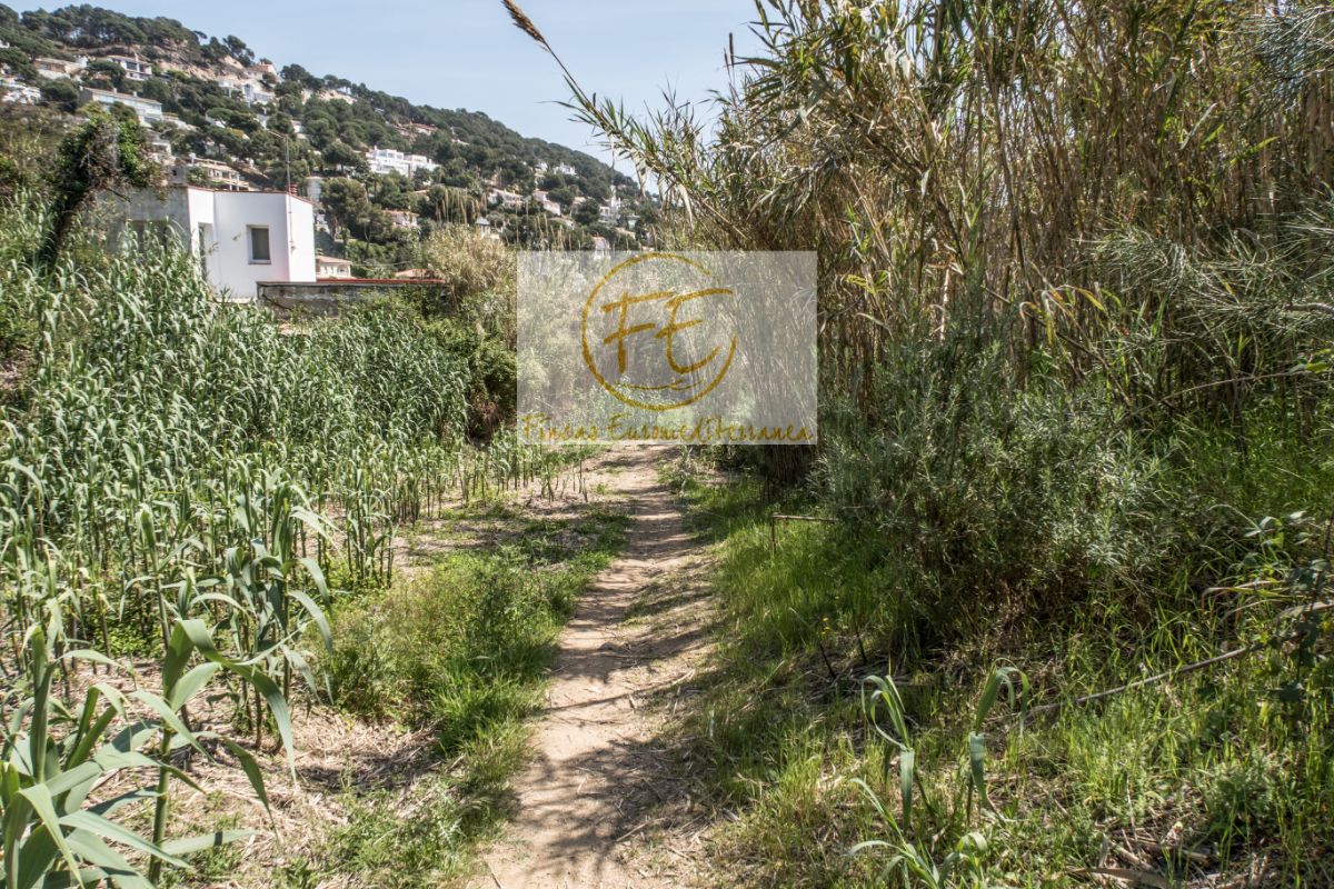 Köp av marken i Blanes
