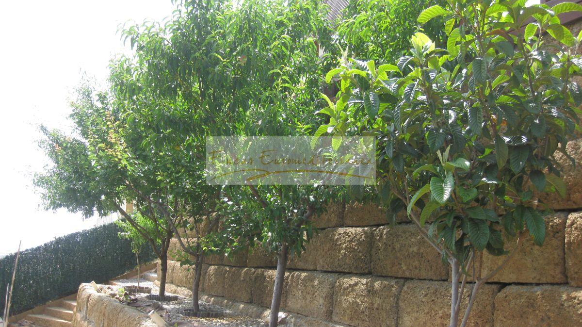 For sale of house in Santa Susanna
