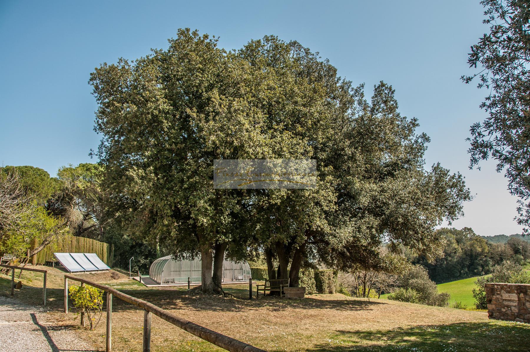 Venda de casa a Vilademuls