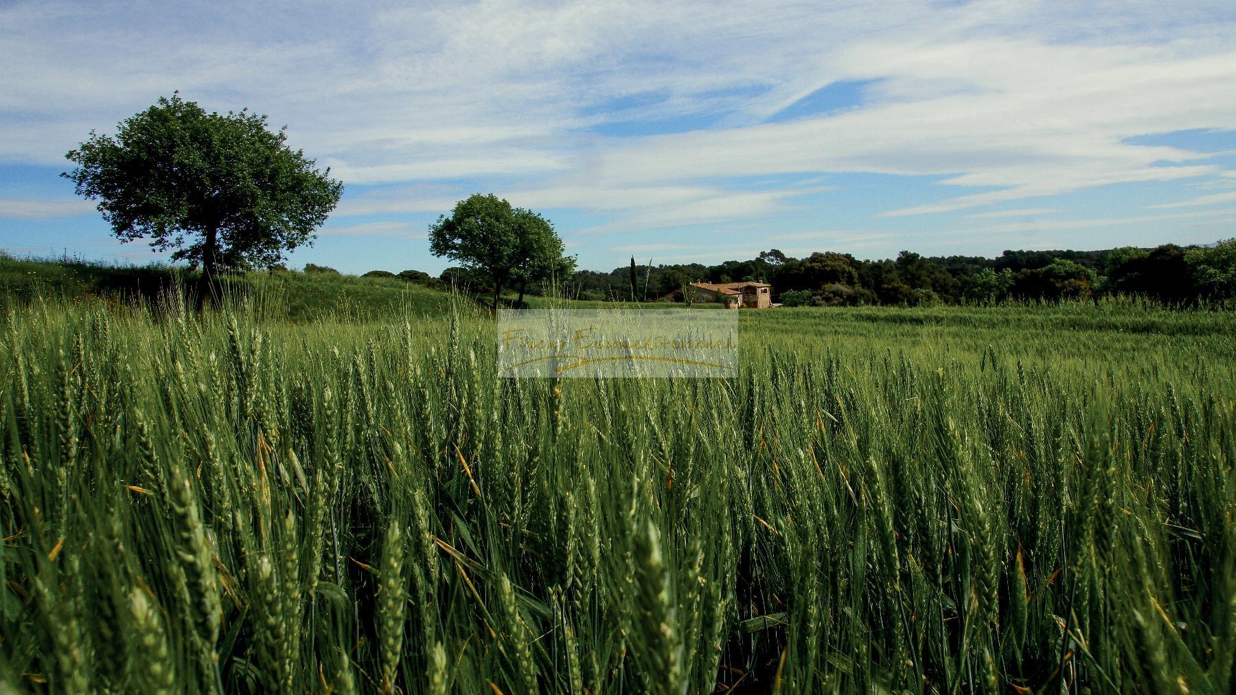 Venda de casa a Vilademuls