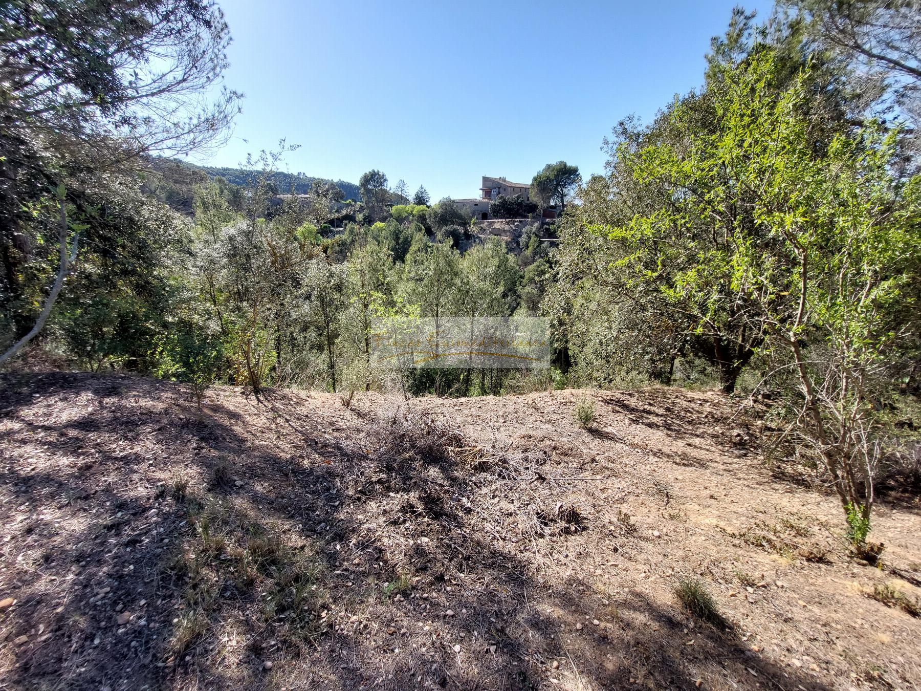 For sale of land in Castellbell i el Vilar