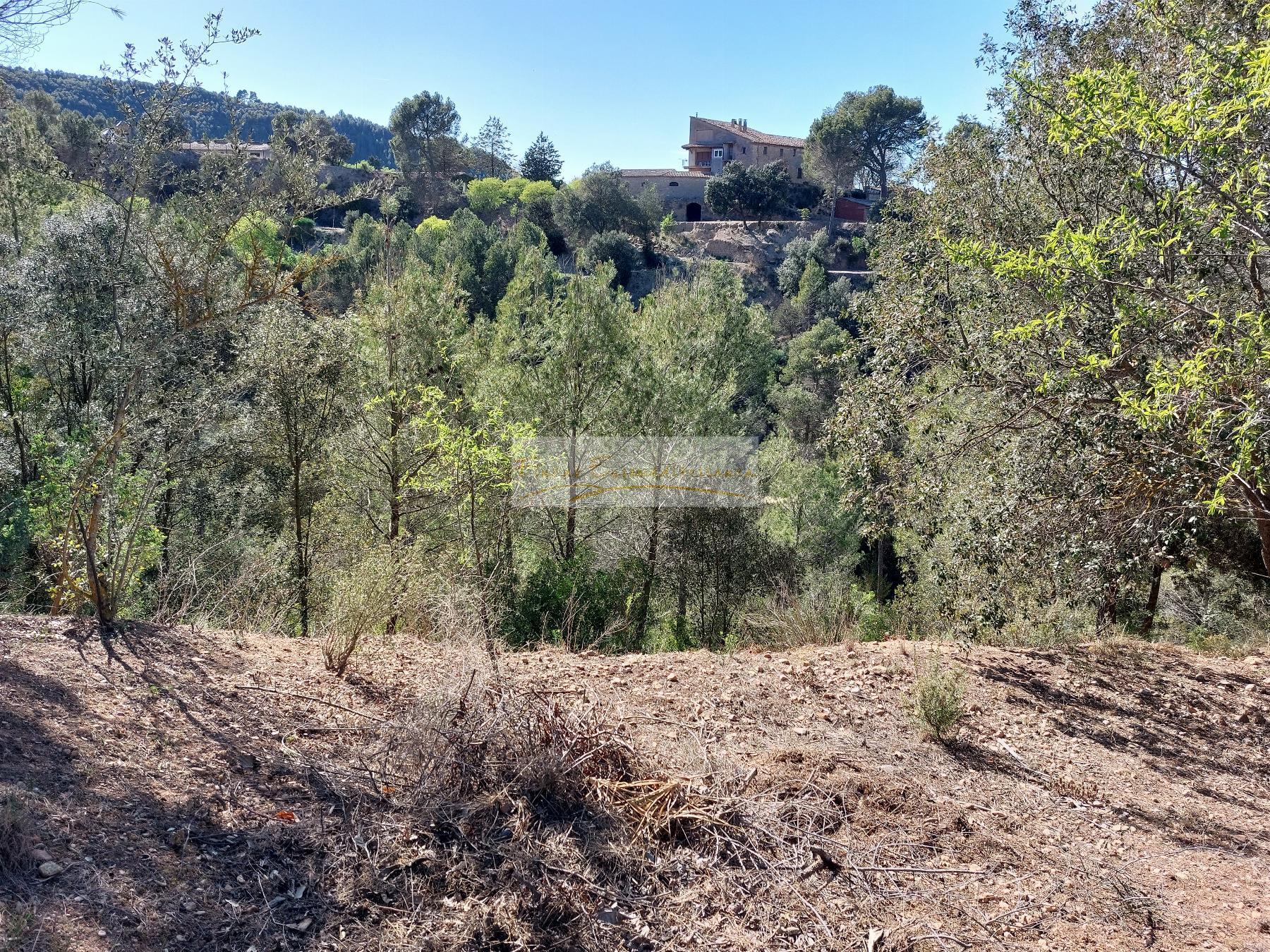 For sale of land in Castellbell i el Vilar