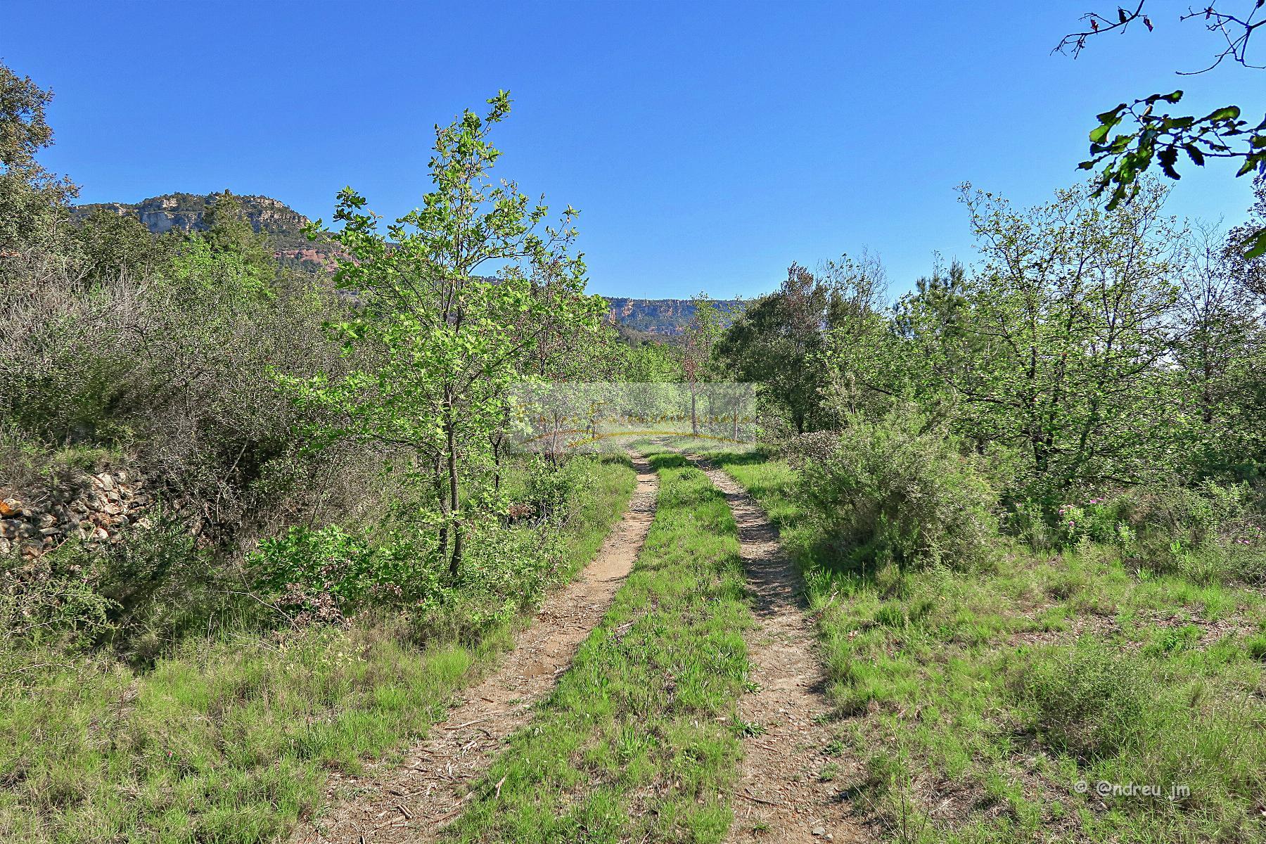 For sale of rural property in Alforja