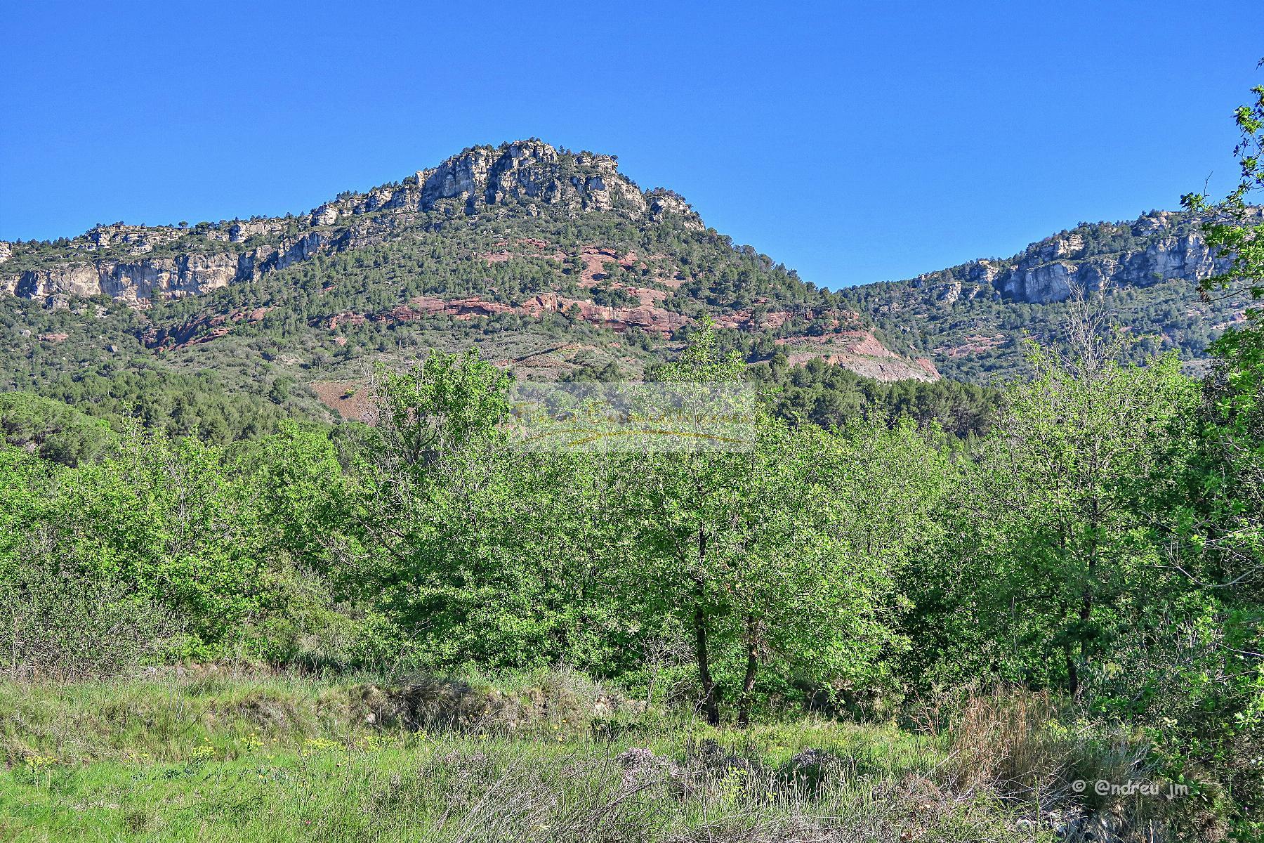 For sale of rural property in Alforja