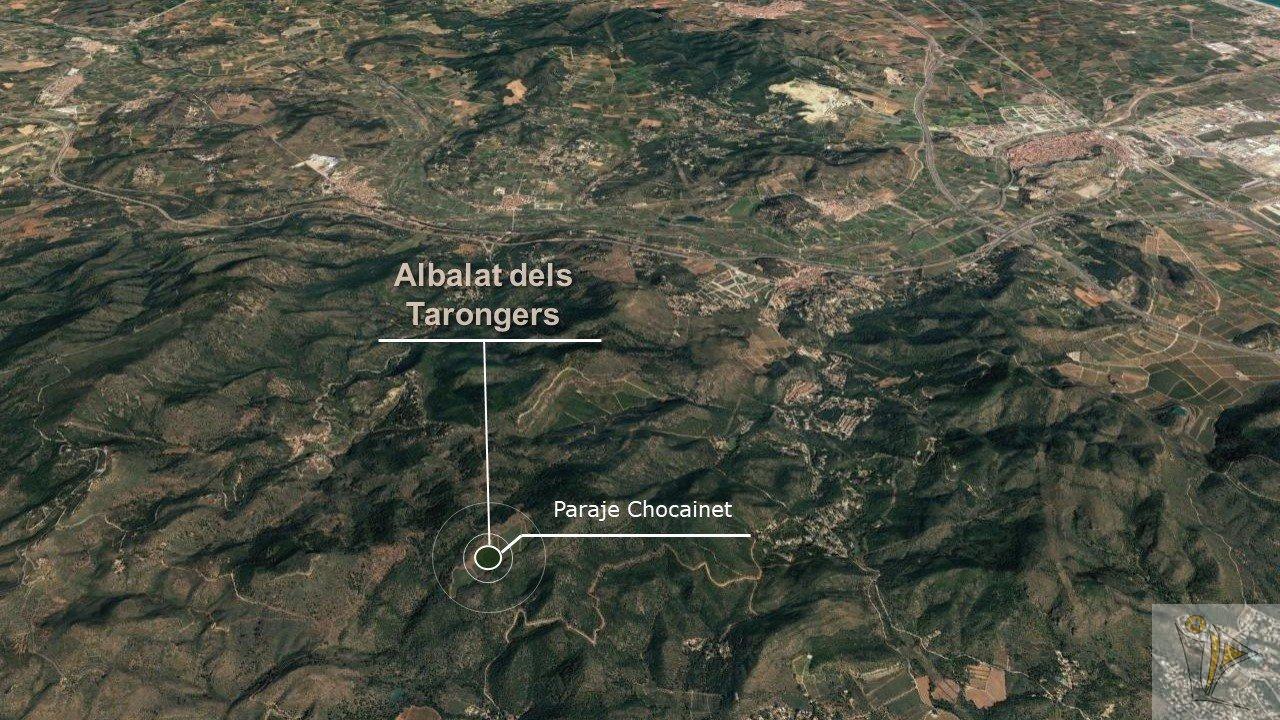 For sale of land in Albalat dels Tarongers