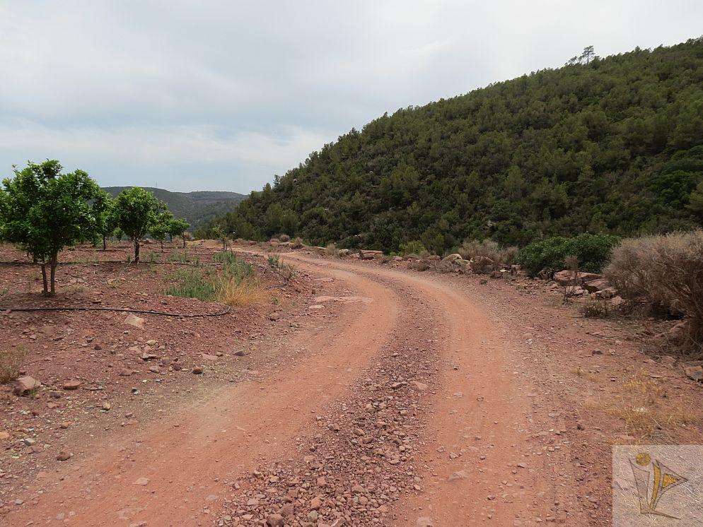 For sale of land in Albalat dels Tarongers