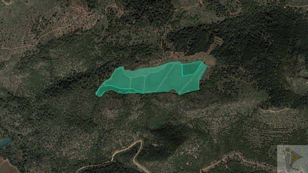 For sale of land in Albalat dels Tarongers