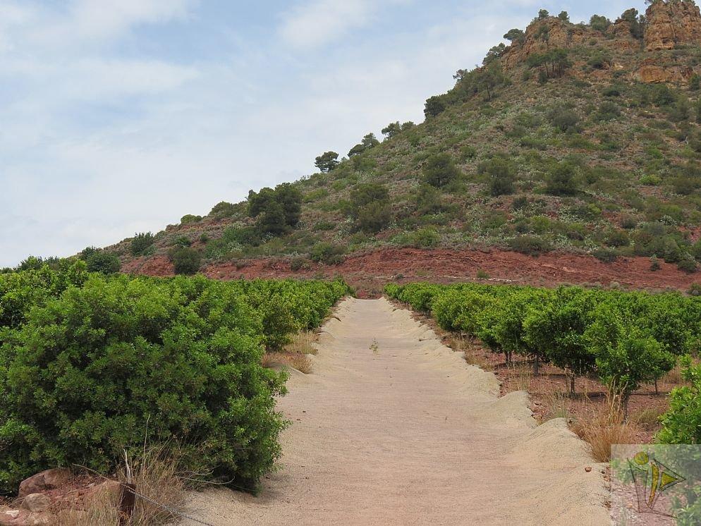 For sale of land in Albalat dels Tarongers