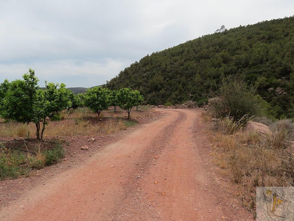For sale of land in Albalat dels Tarongers