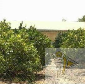 For sale of industrial plant/warehouse in Montesa