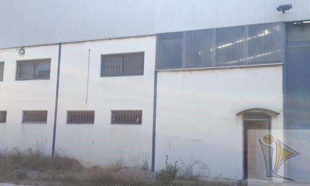 For sale of industrial plant/warehouse in Sollana