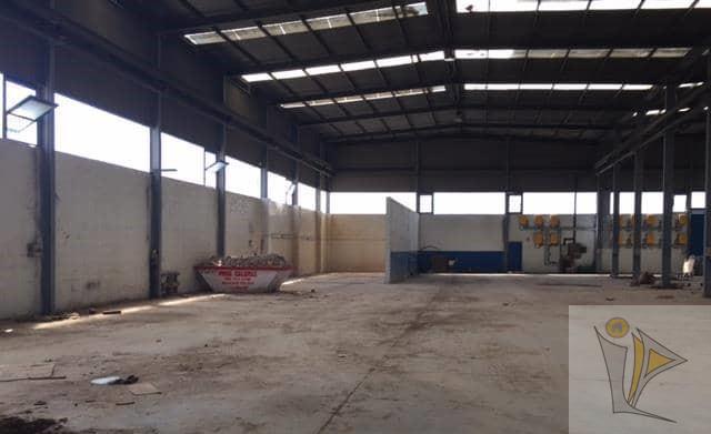 For sale of industrial plant/warehouse in Sollana