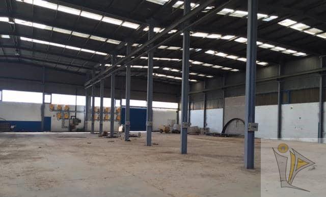 For sale of industrial plant/warehouse in Sollana