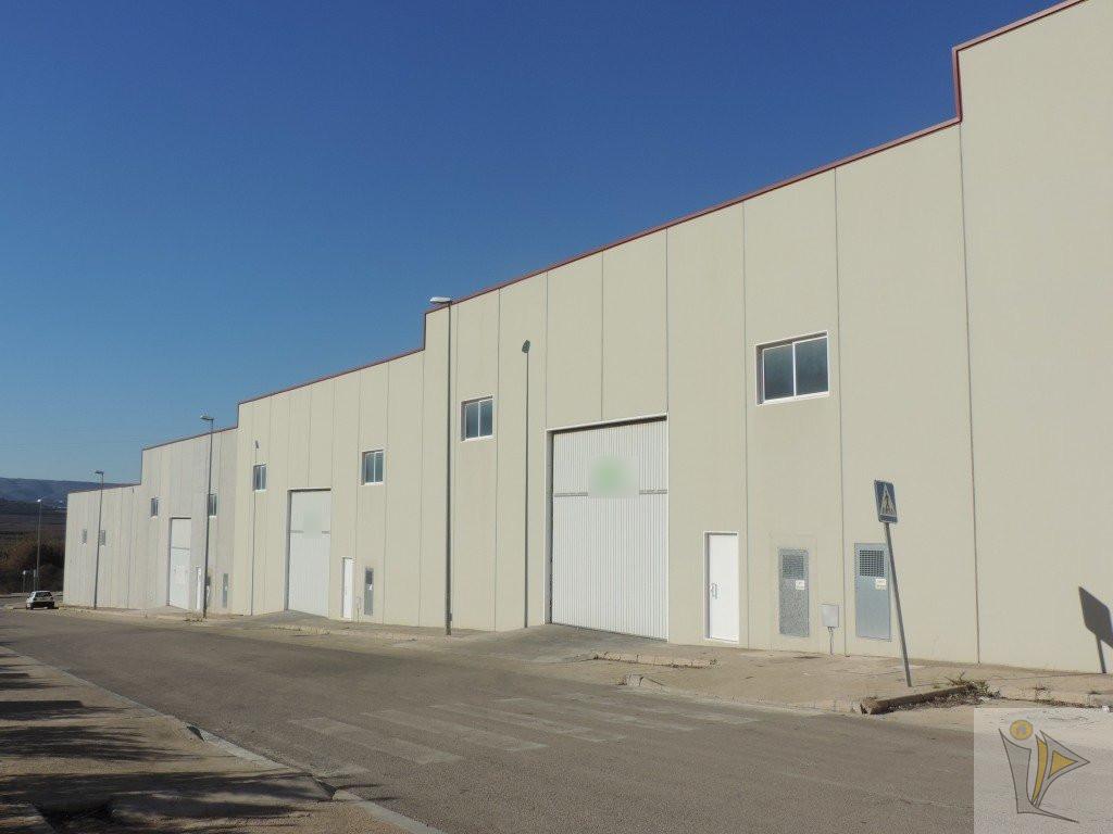 For sale of industrial plant/warehouse in Masalavés