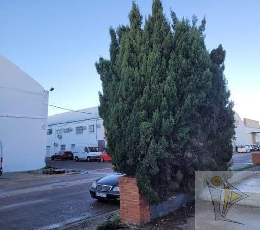 For sale of industrial plant/warehouse in Alzira