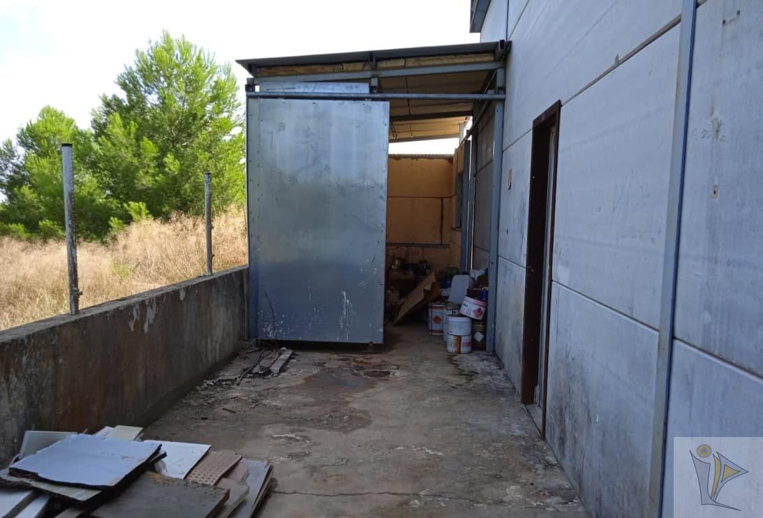 For sale of industrial plant/warehouse in Senyera