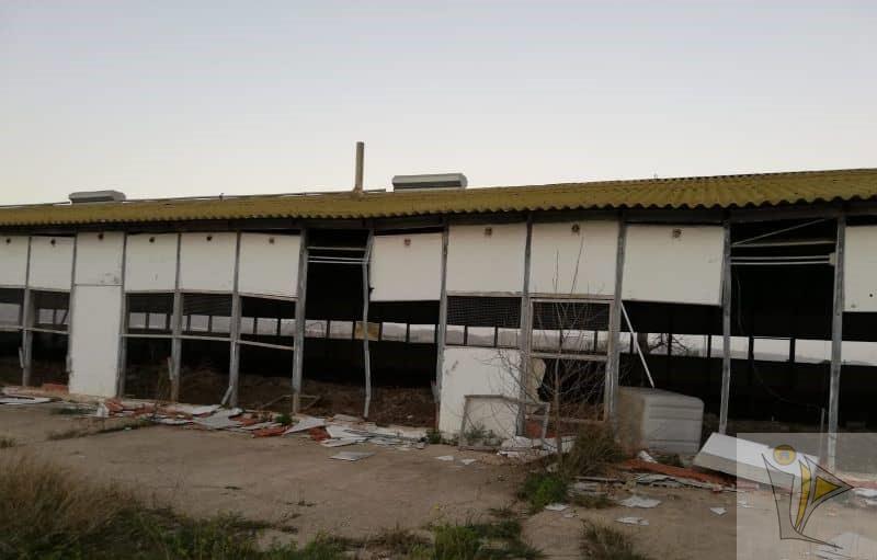 For sale of industrial plant/warehouse in Catadau