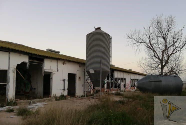 For sale of industrial plant/warehouse in Catadau