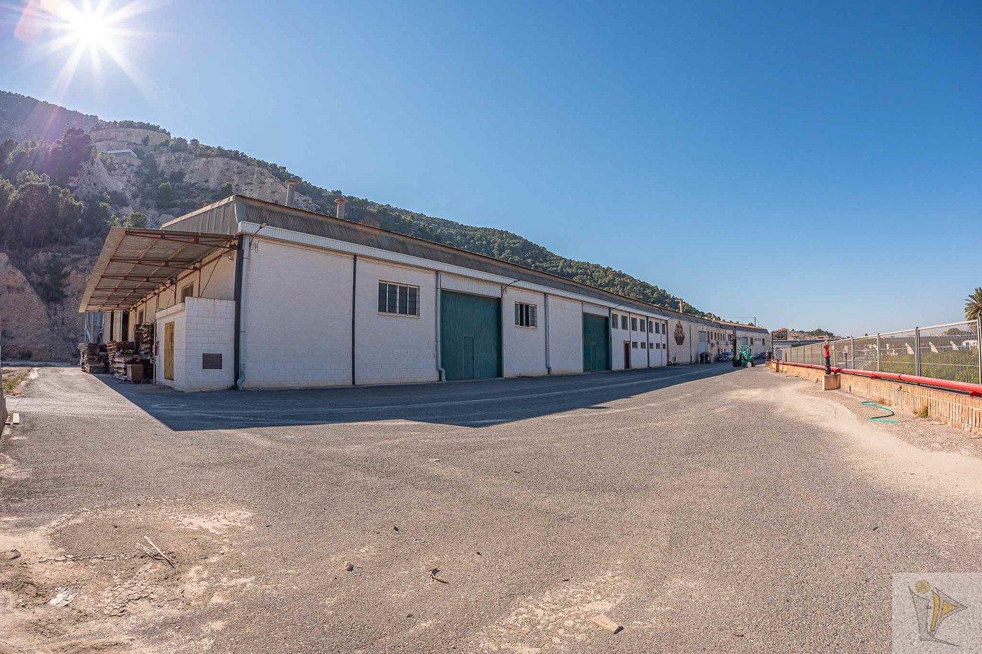 For sale of industrial plant/warehouse in Orihuela