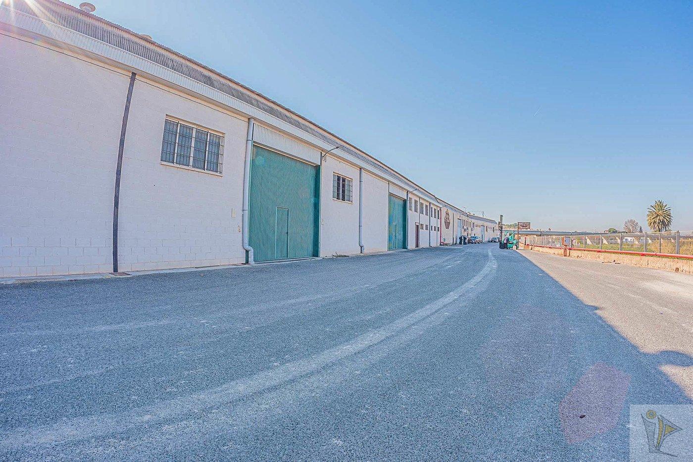 For sale of industrial plant/warehouse in Orihuela