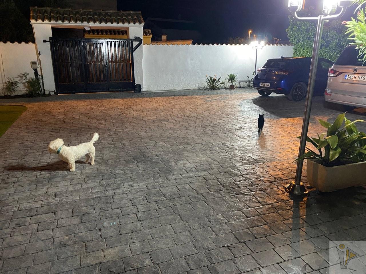 Venta de chalet en Llíria