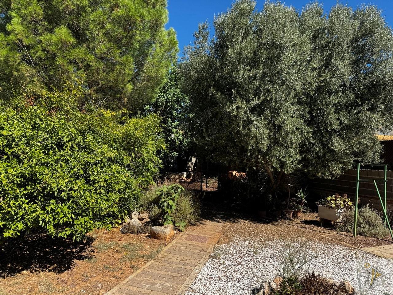 Venta de chalet en Llíria