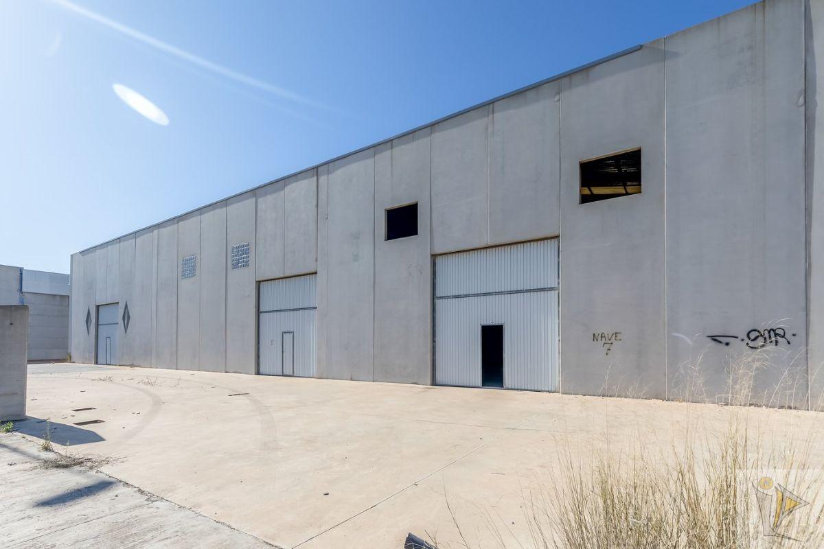 For sale of industrial plant/warehouse in Alzira