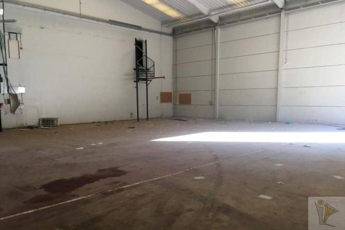 For sale of industrial plant/warehouse in Sagunto Sagunt